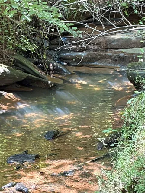 00 Poplar Springs Road