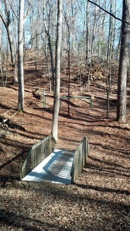 1009 Cut Drive Ranger, GA 30734