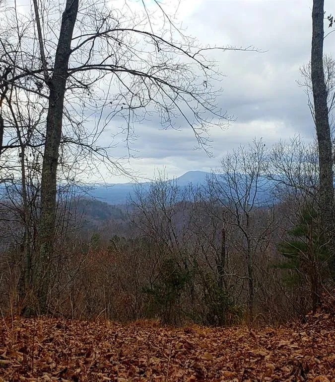 1009 Cut Drive Ranger, GA 30734
