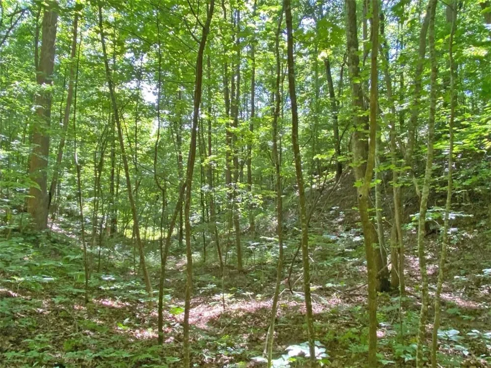 2.4AC Old River Road Dahlonega, GA 30533