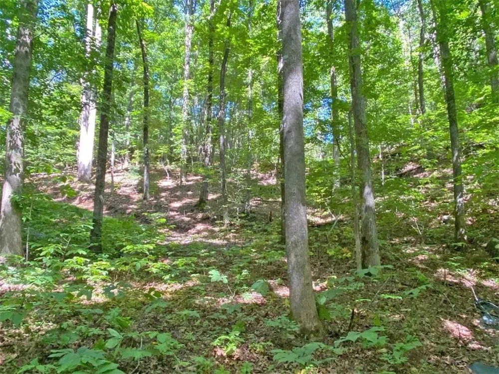2.4AC Old River Road Dahlonega, GA 30533