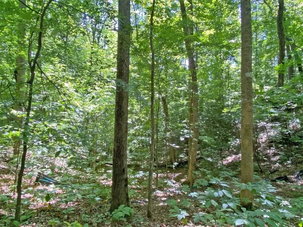 2.4AC Old River Road Dahlonega, GA 30533