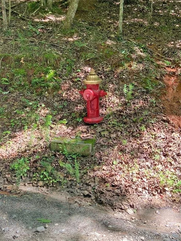 2.4AC Old River Road Dahlonega, GA 30533