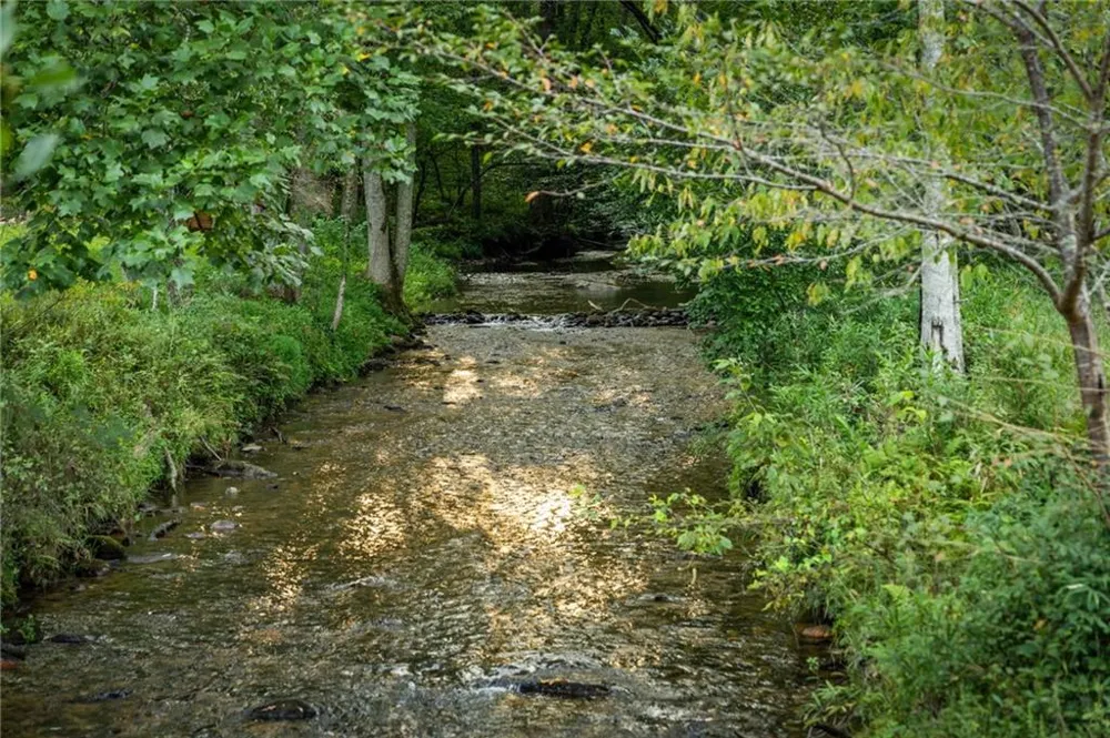 2632 Big Creek Rd Cherry Log, GA 30522