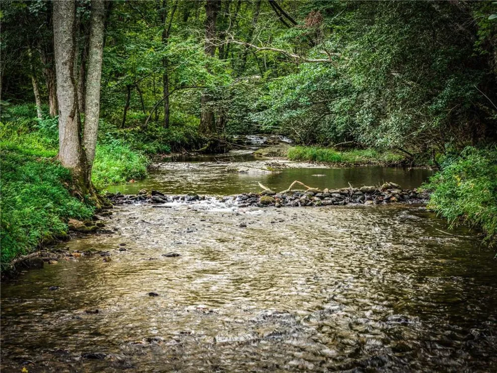 2632 Big Creek Rd Cherry Log, GA 30522