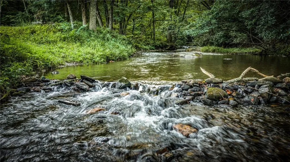 2632 Big Creek Rd Cherry Log, GA 30522