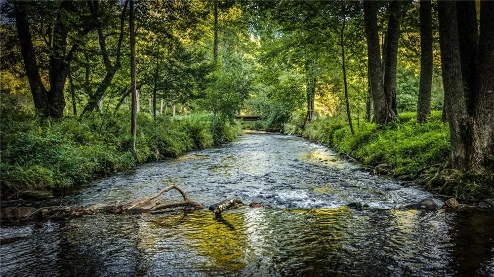 2632 Big Creek Rd Cherry Log, GA 30522