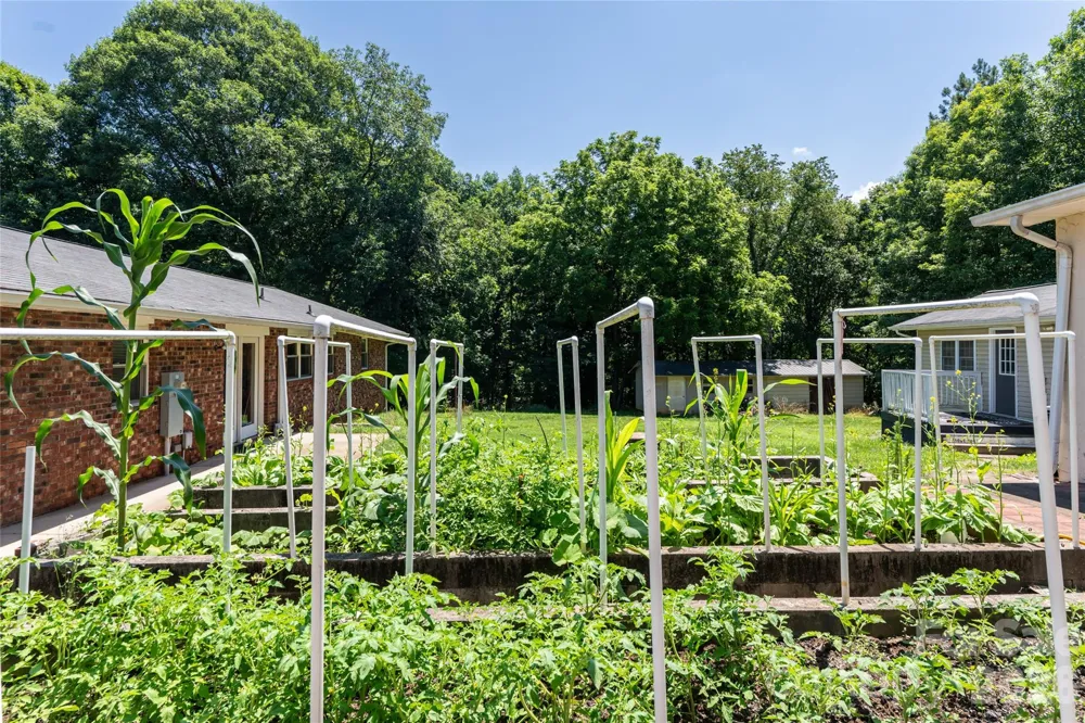 2800 Coxe Road Tryon, NC 28782
