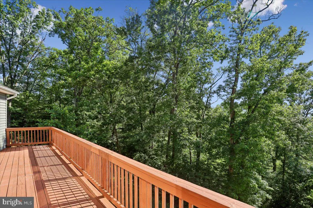 250 LAFAYETTE LANE Paris, VA 20130