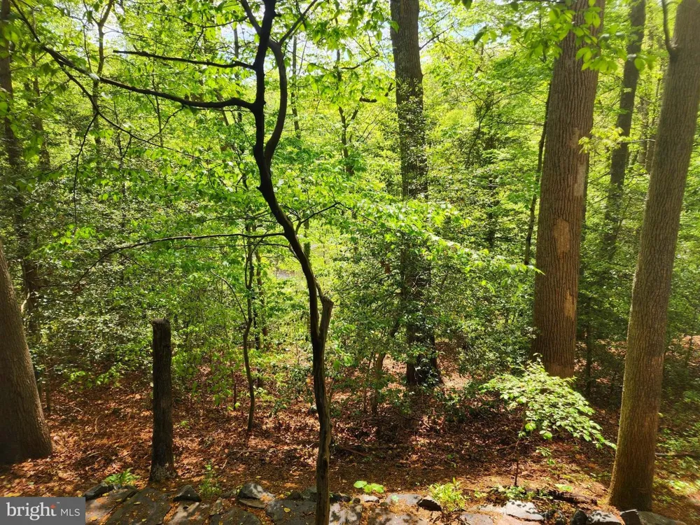 440 BOBWHITE TRAIL Crownsville, MD 21032