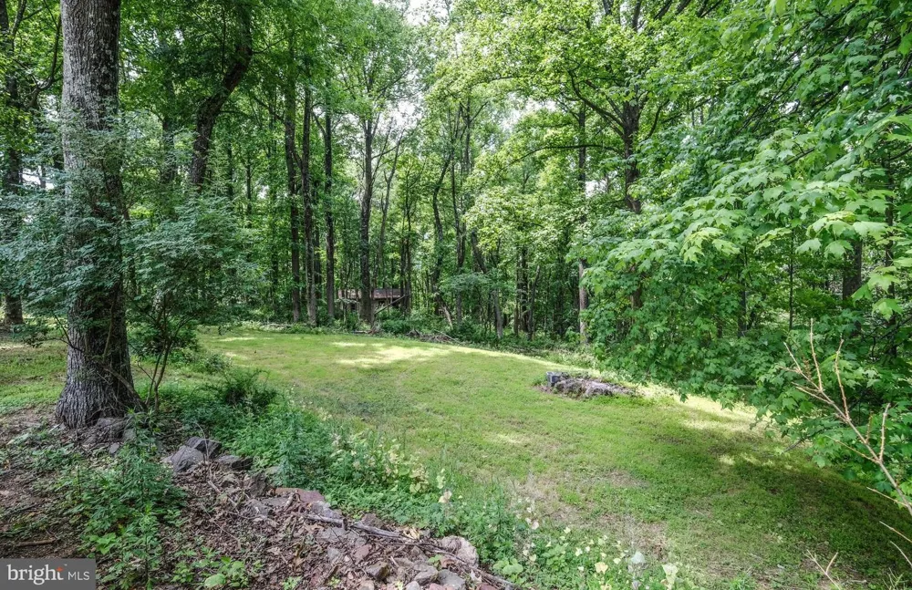 318 ULYSSES WAY Linden, VA 22642