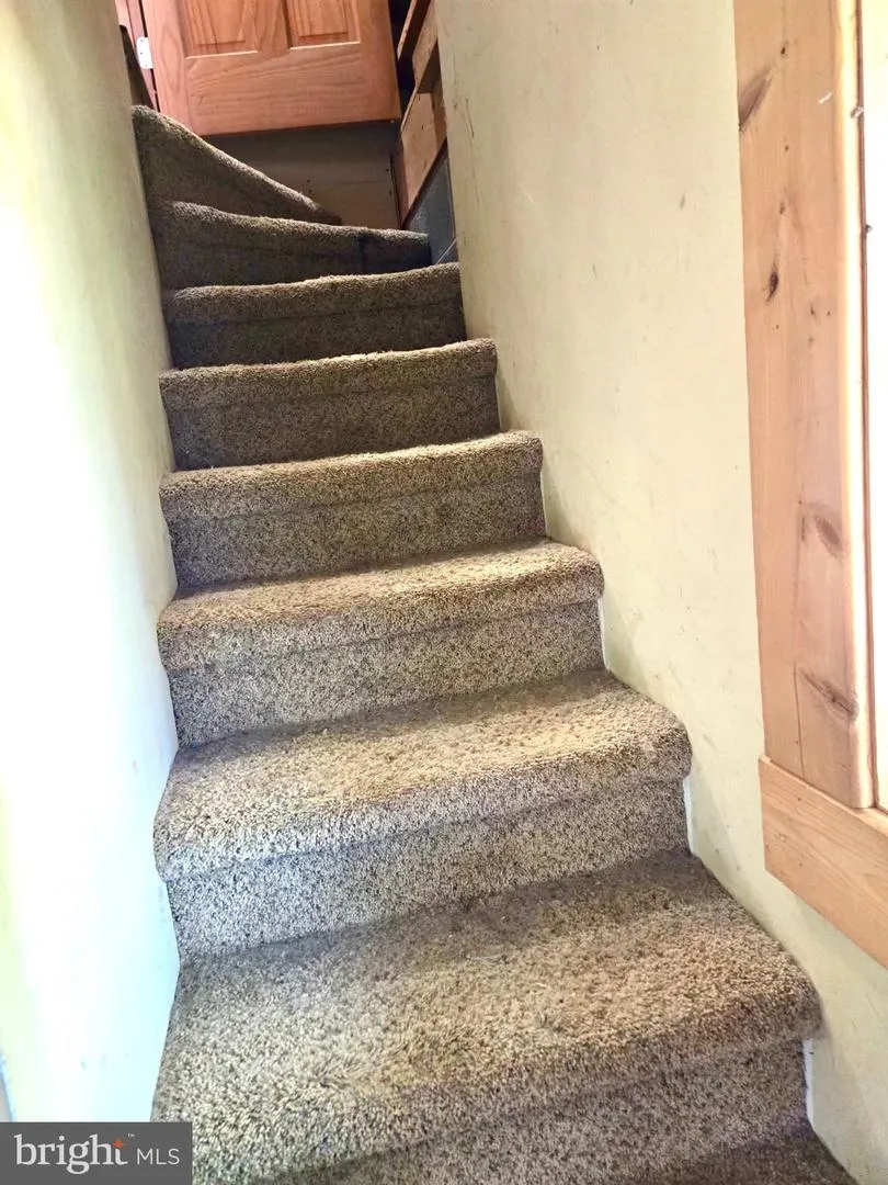 219 FOX SQUIRREL LANE Cabins, WV 26855