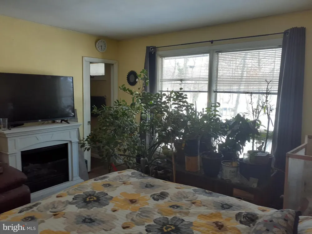 3 DEMARET Little Egg Harbor, NJ 08087