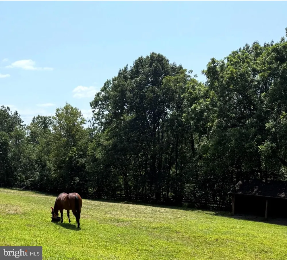 5221 MOUNTAIN VIEW DRIVE Broad Run, VA 20137