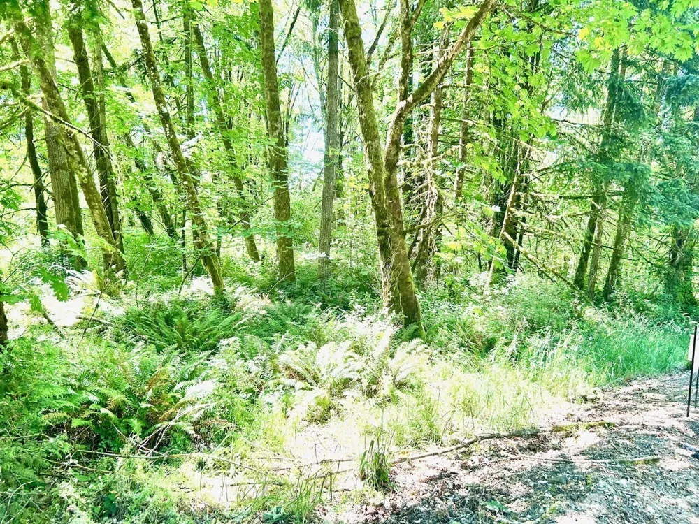 577 Martins Bluff Road Kalama, WA 98665