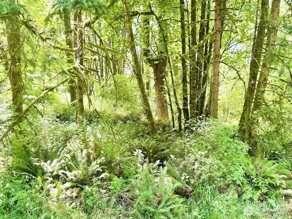 577 Martins Bluff Road Kalama, WA 98665