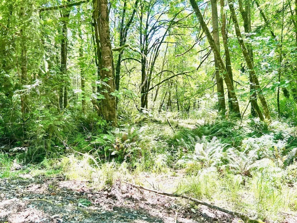 577 Martins Bluff Road Kalama, WA 98665