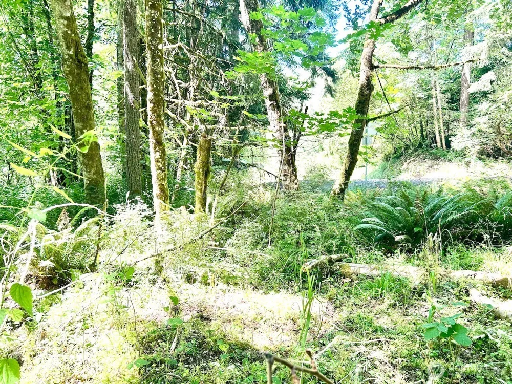 577 Martins Bluff Road Kalama, WA 98665