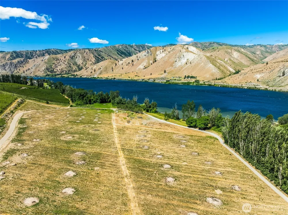 0 Lot 1-5 Silvest Road Orondo, WA 98843