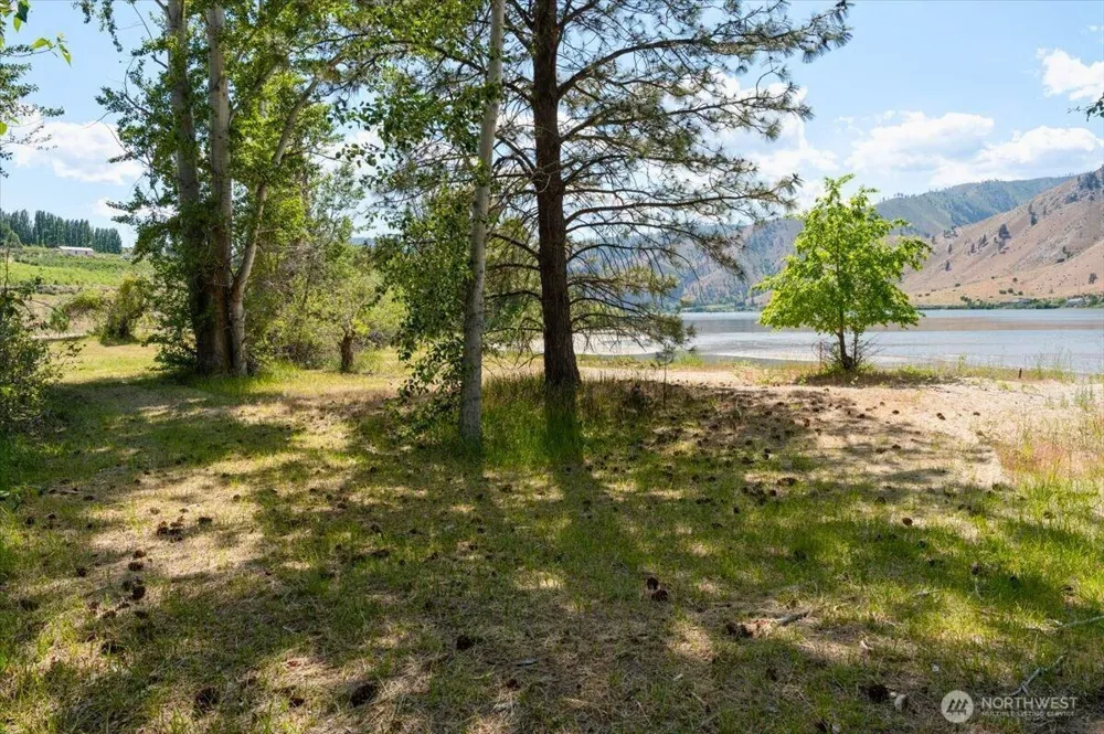 0 Lot 1-5 Silvest Road Orondo, WA 98843
