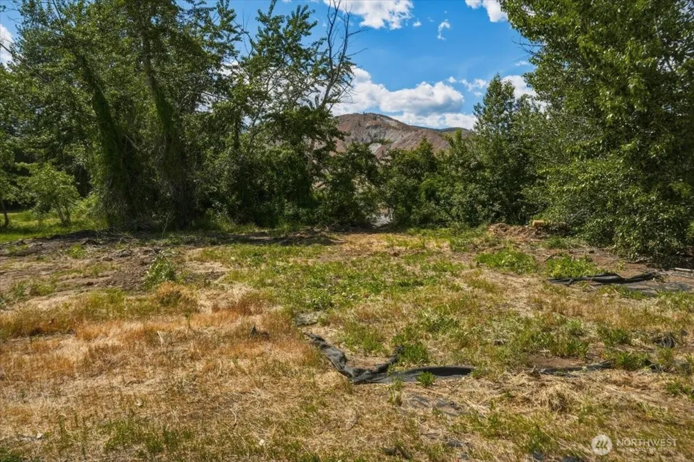 0 Lot 1 Silvest Road Orondo, WA 98843
