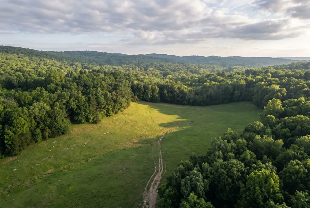 2909B Beech Log Rd Watertown, TN 37184