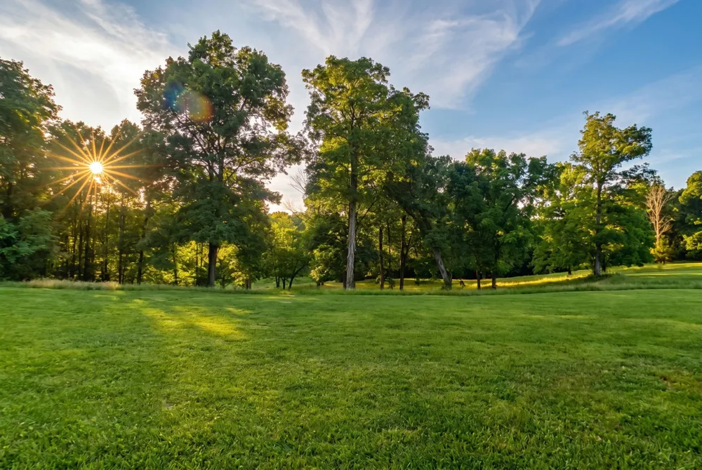 2909B Beech Log Rd Watertown, TN 37184