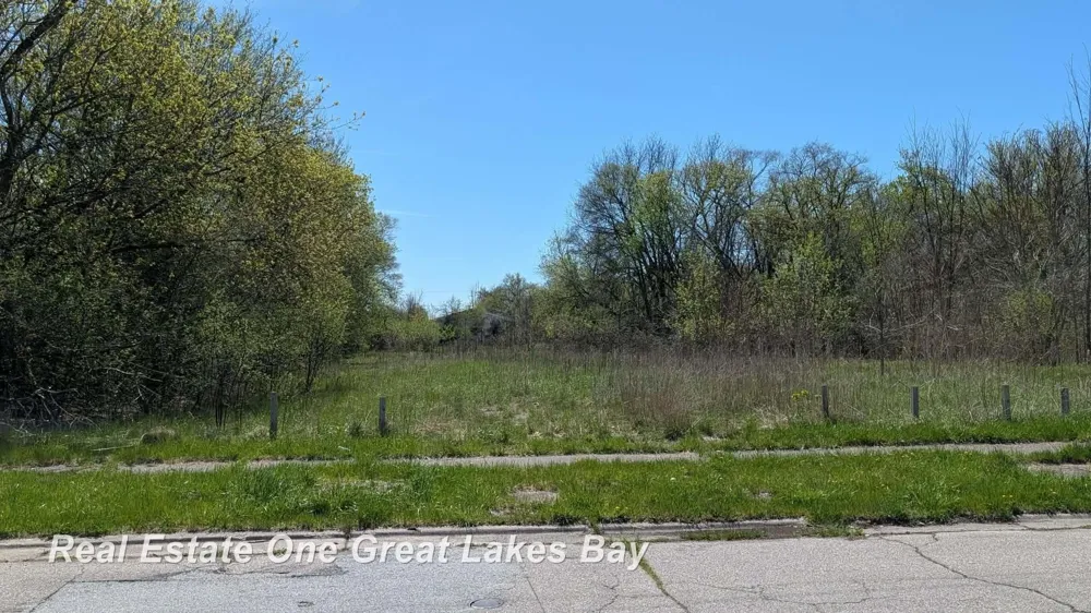 1317 S Park Avenue Saginaw City, MI 48601
