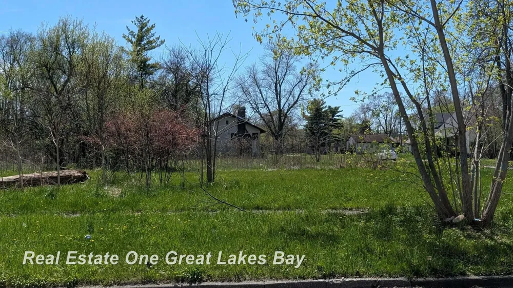 1317 S Park Avenue Saginaw City, MI 48601