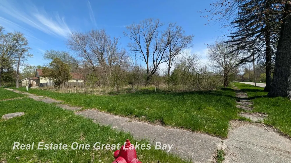1317 S Park Avenue Saginaw City, MI 48601