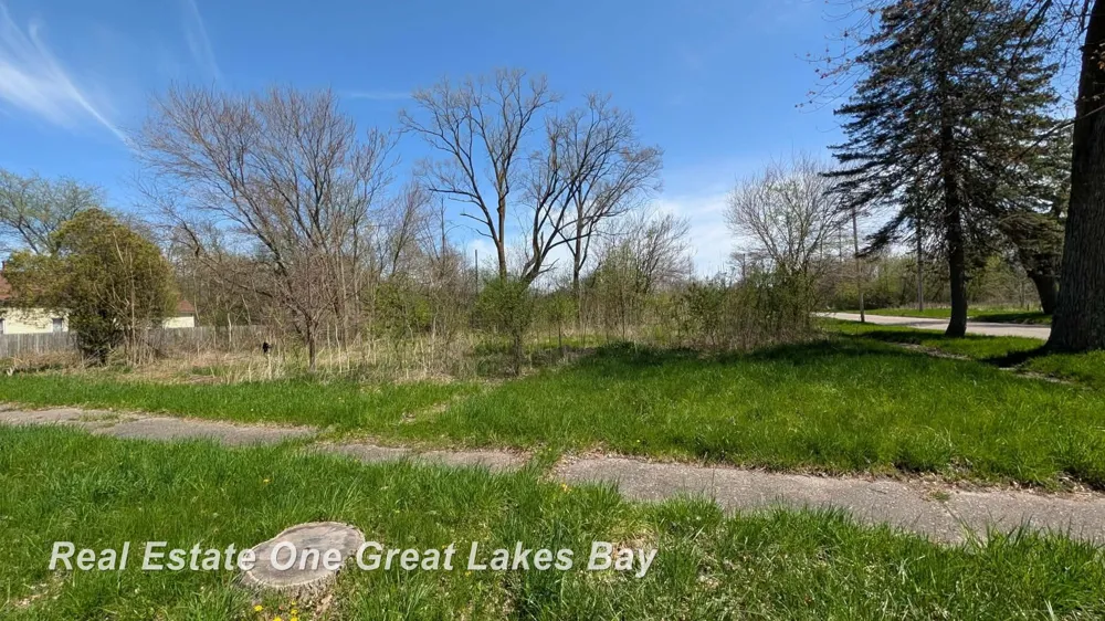 1317 S Park Avenue Saginaw City, MI 48601