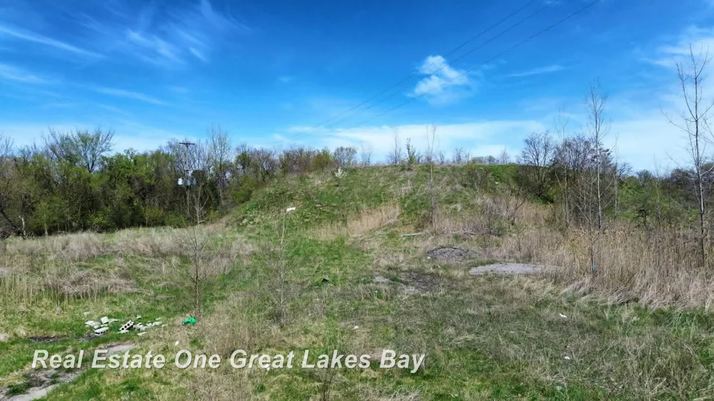 1317 S Park Avenue Saginaw City, MI 48601