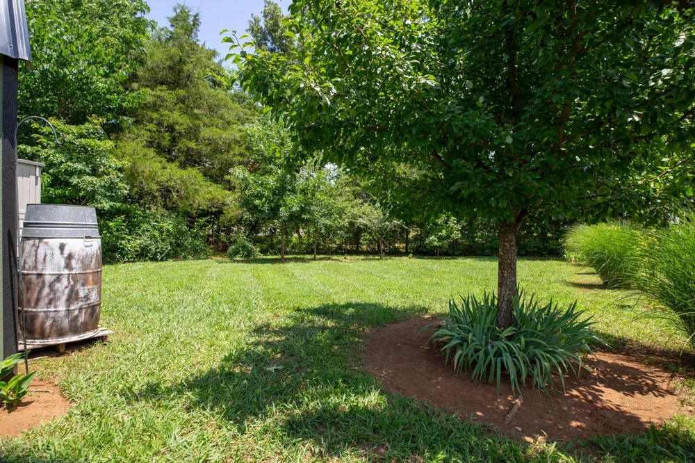 119 Macy Ct Christiana, TN 37037