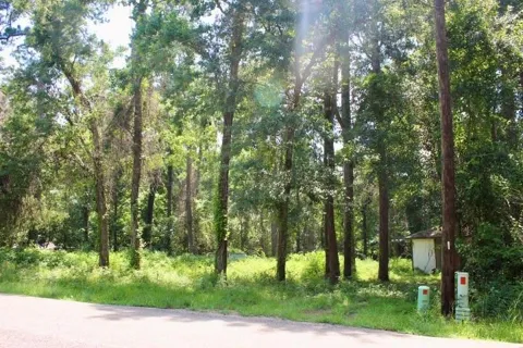 410 Dogwood Trail