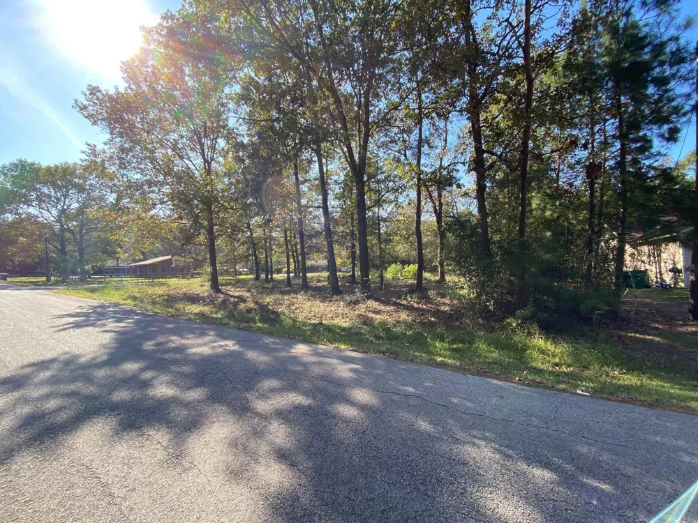 Crystal River Conroe, TX 77316