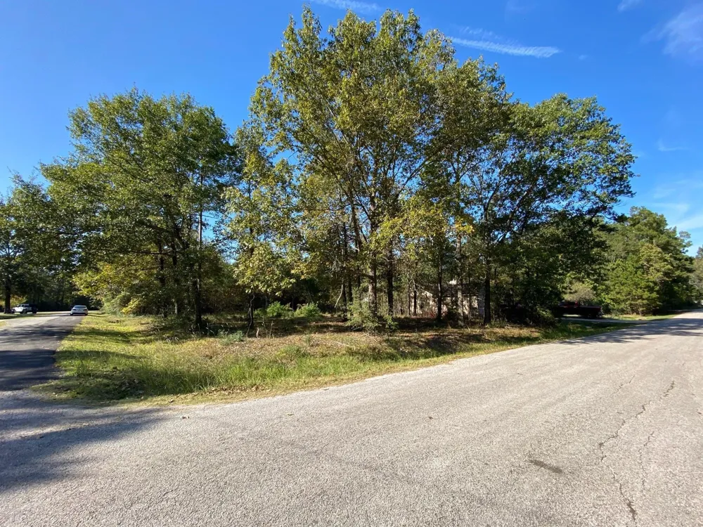 Crystal River Conroe, TX 77316