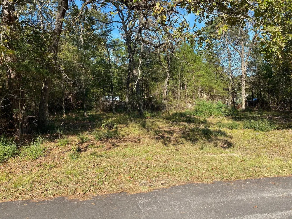 Crystal River Conroe, TX 77316