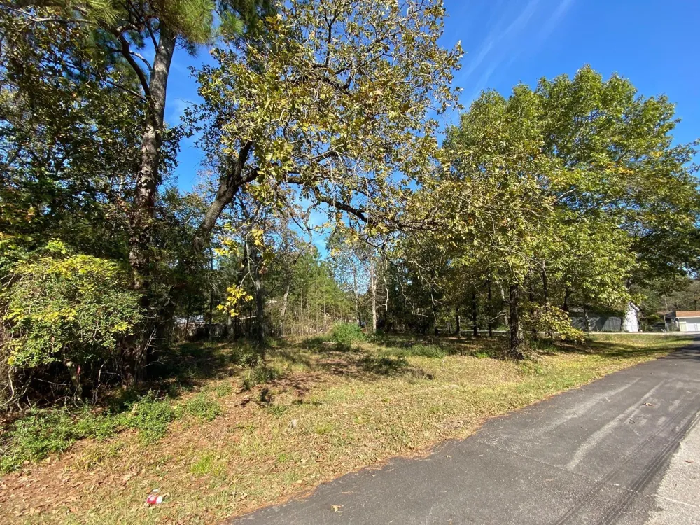 Crystal River Conroe, TX 77316