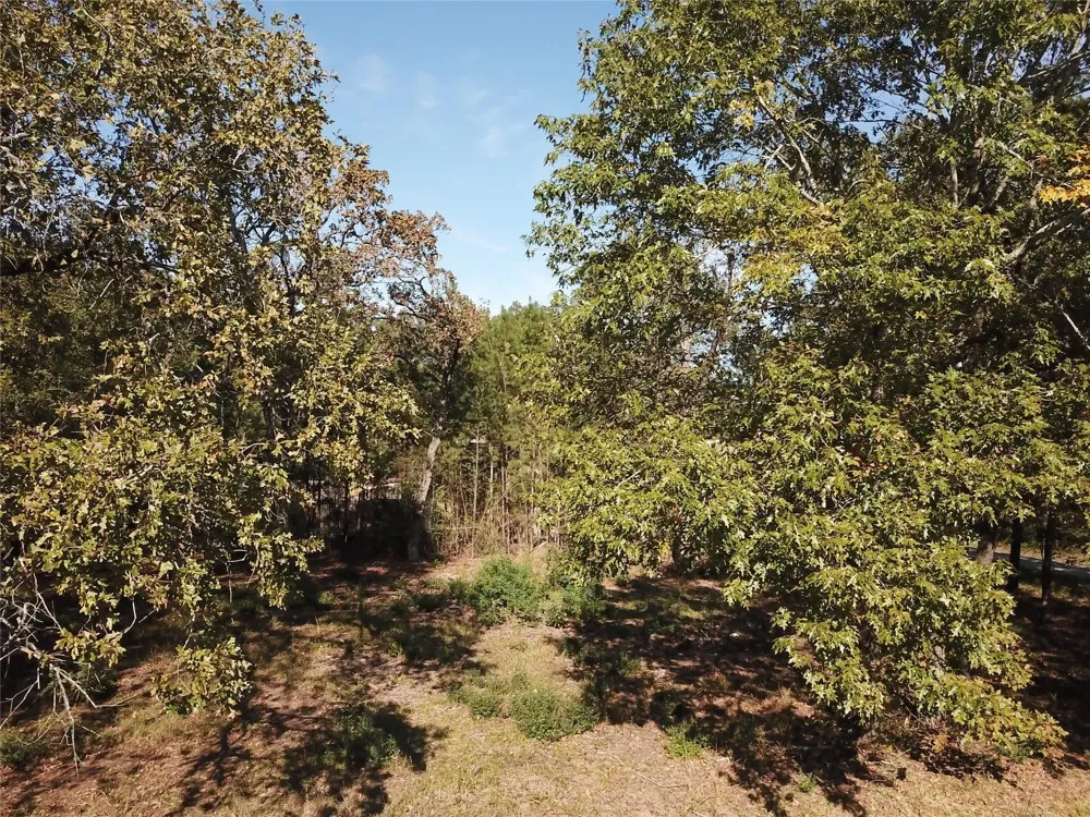 Crystal River Conroe, TX 77316