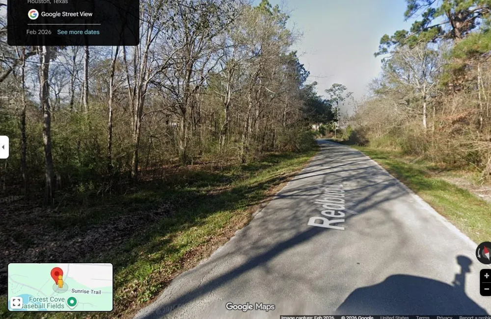 803 Red Bud Lane Kingwood, TX 77339
