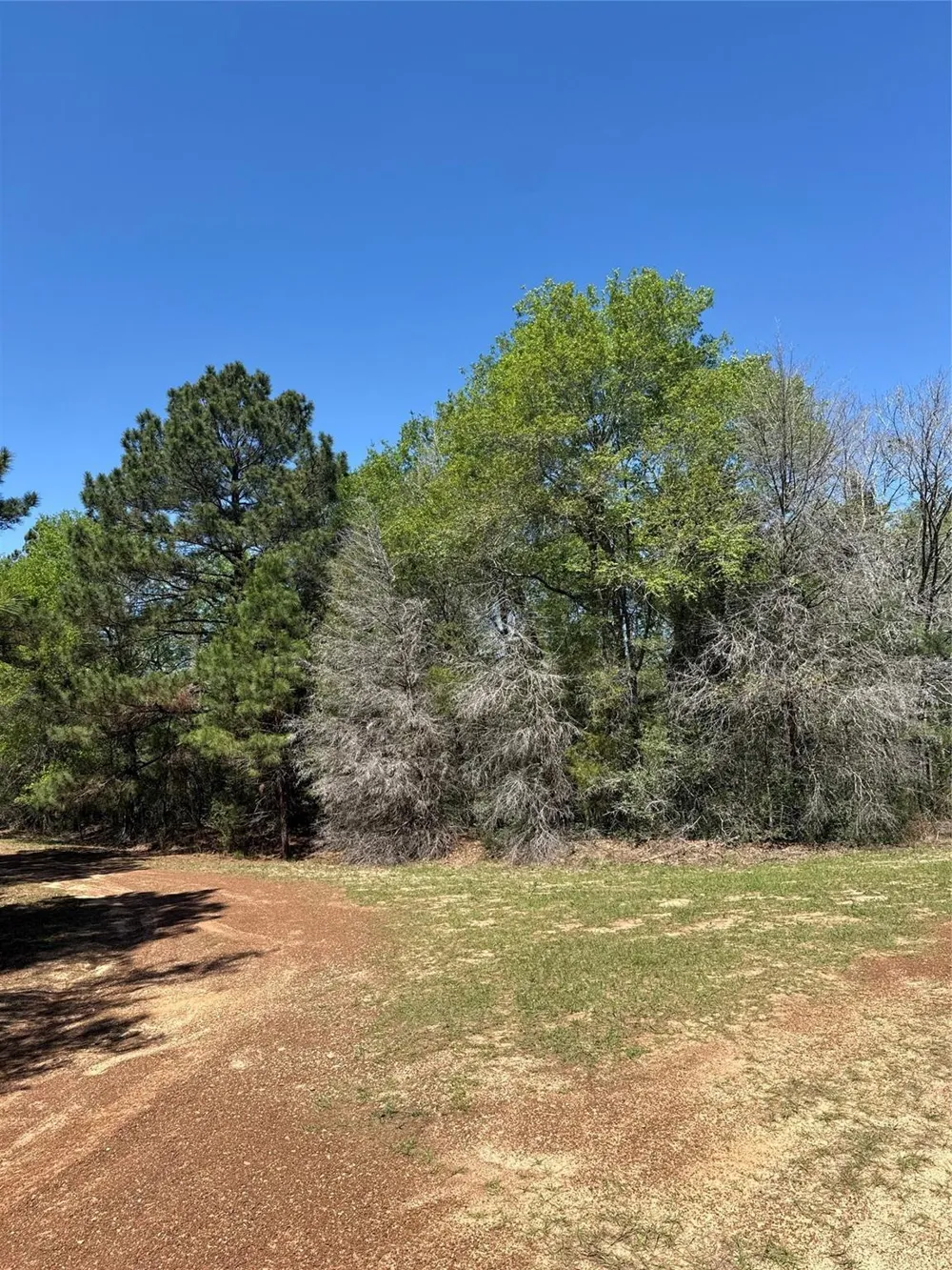26842 Eagle Drive Hempstead, TX 77445