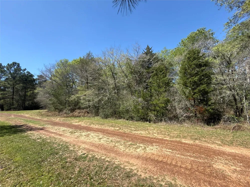 26842 Eagle Drive Hempstead, TX 77445