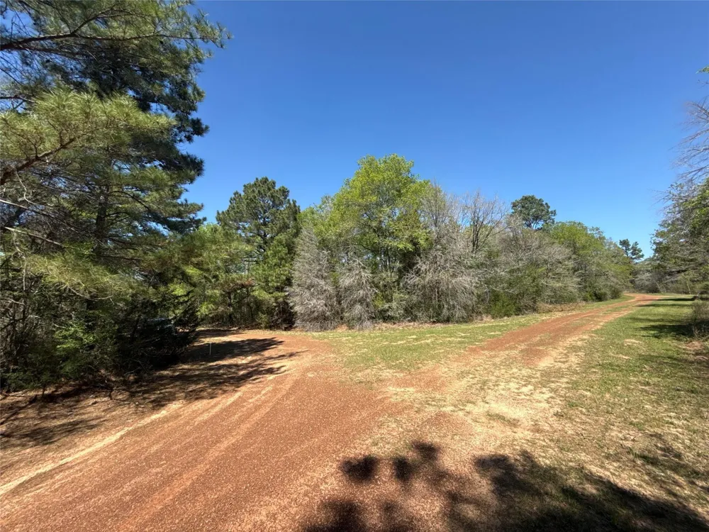 26842 Eagle Drive Hempstead, TX 77445