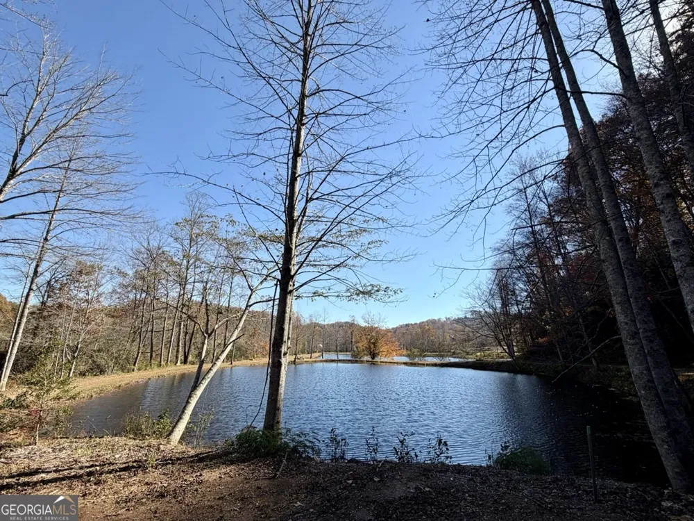 140 Cove View LN Clarkesville, GA 30523