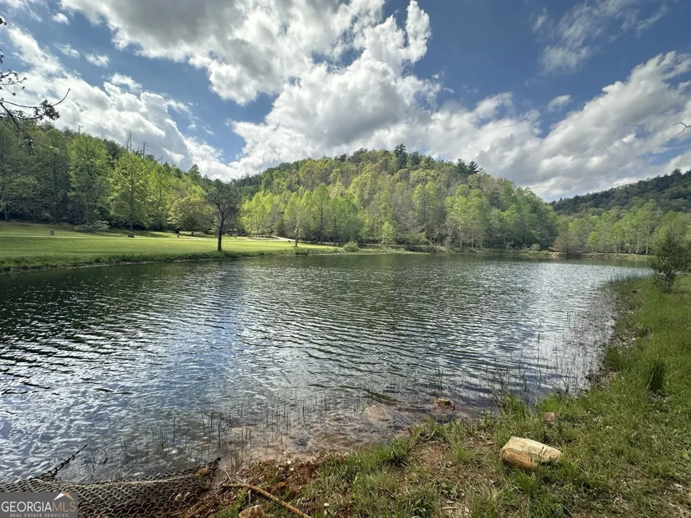 140 Cove View LN Clarkesville, GA 30523
