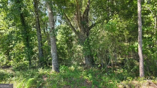 0 Willow Lake RD Fort Valley, GA 31030
