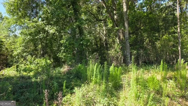 0 Willow Lake RD Fort Valley, GA 31030