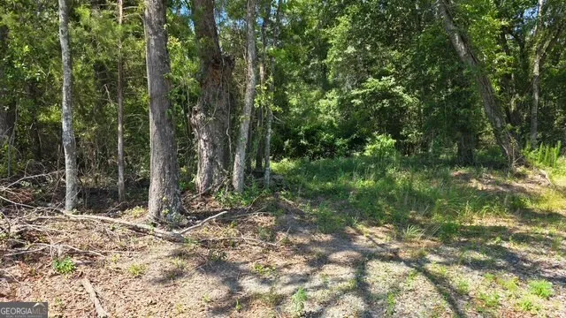 0 Willow Lake RD Fort Valley, GA 31030
