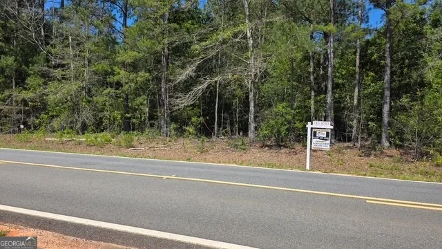 0 Willow Lake RD Fort Valley, GA 31030