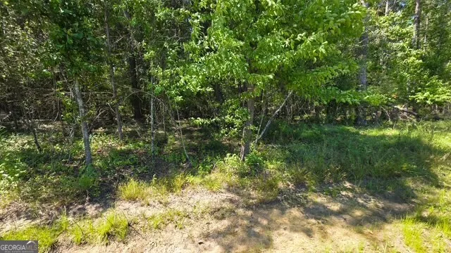 0 Willow Lake RD Fort Valley, GA 31030